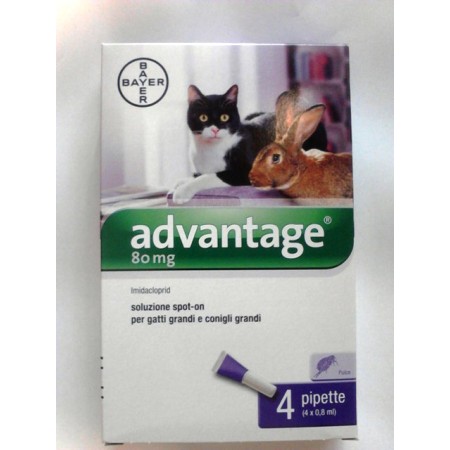 BAYER ADVANTAGE 80 mg GATTI E CONIGLI GRANDI