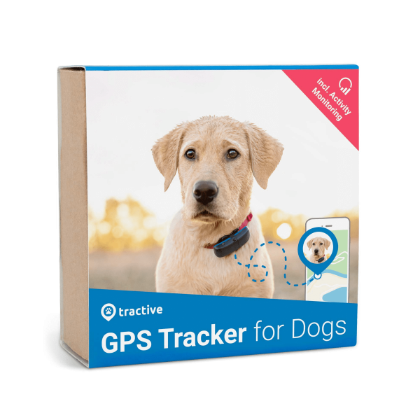 Localizzatore GPS per cani Tractive GPS DOG