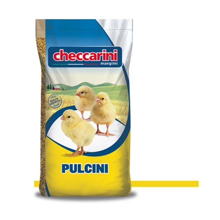 CHECCARINI MANGIME PER PULCINI