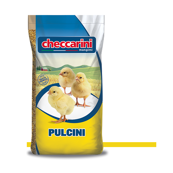 CHECCARINI MANGIME PER PULCINI