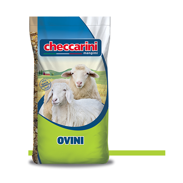 CHECCARINI MANGIME LINEA OVINI