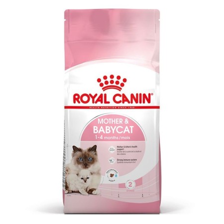 MANGIME Royal Canin Feline Babycat