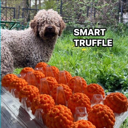 TARTUFO ADDESTRAMENTO SmartTruffle